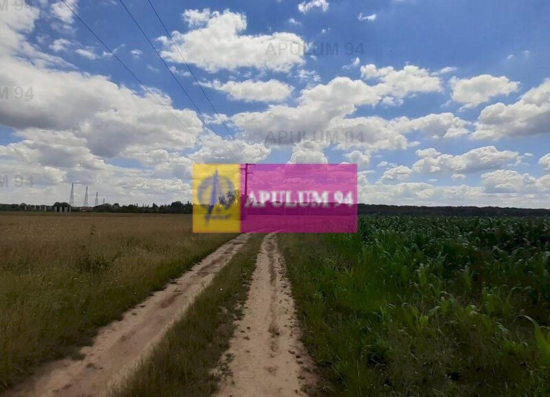 Teren 715mp in Snagov langa Equestria