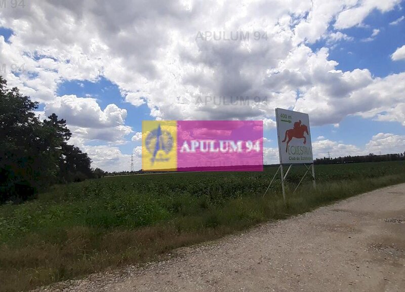 Teren 715mp in Snagov langa Equestria